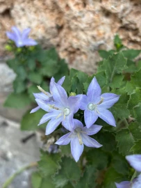 Escursionismo, Liguria: weekend di trekking alla scoperta del Finalese