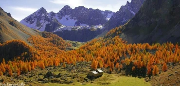 Escursionismo, Weekend in Val Varaita nel bosco dell’Alevè 